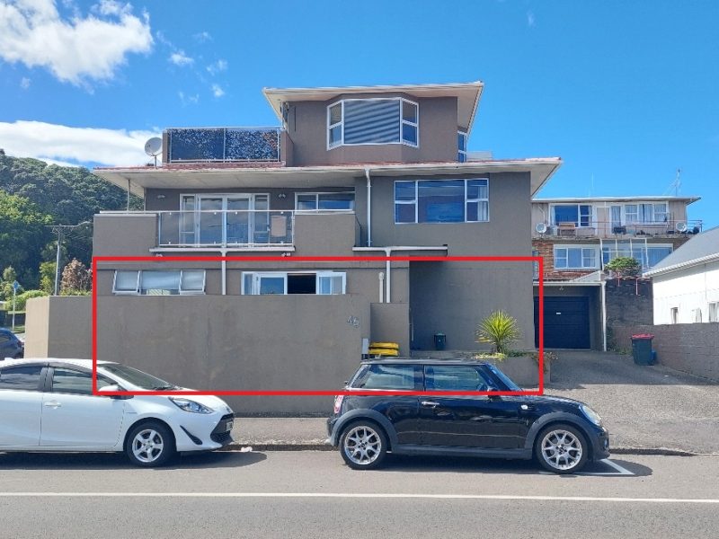 45A Vivian Street, New Plymouth Central