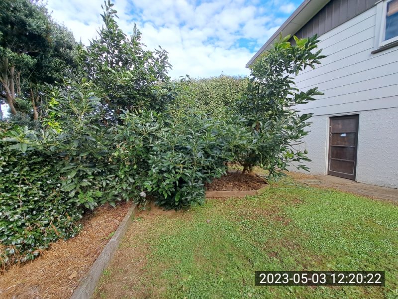 65 Marama Crescent, Spotswood.