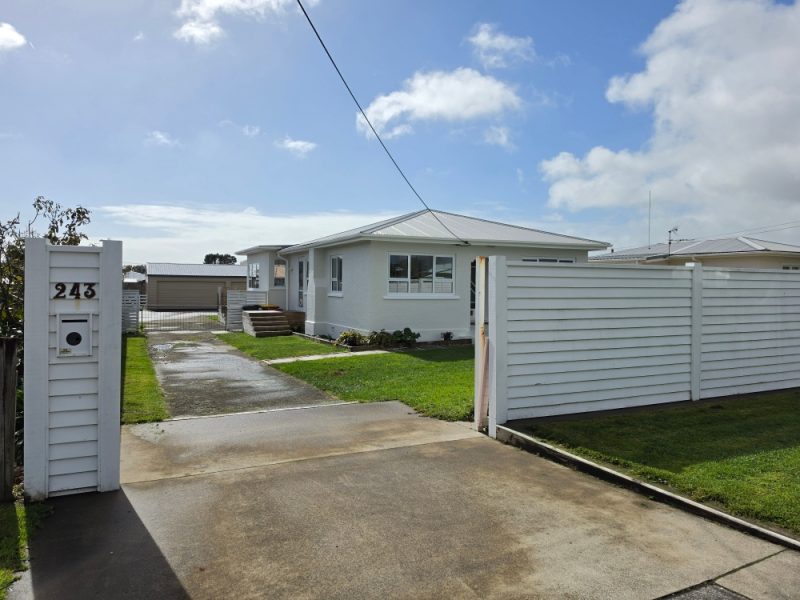243 Huatoki St, Upper Vogeltown