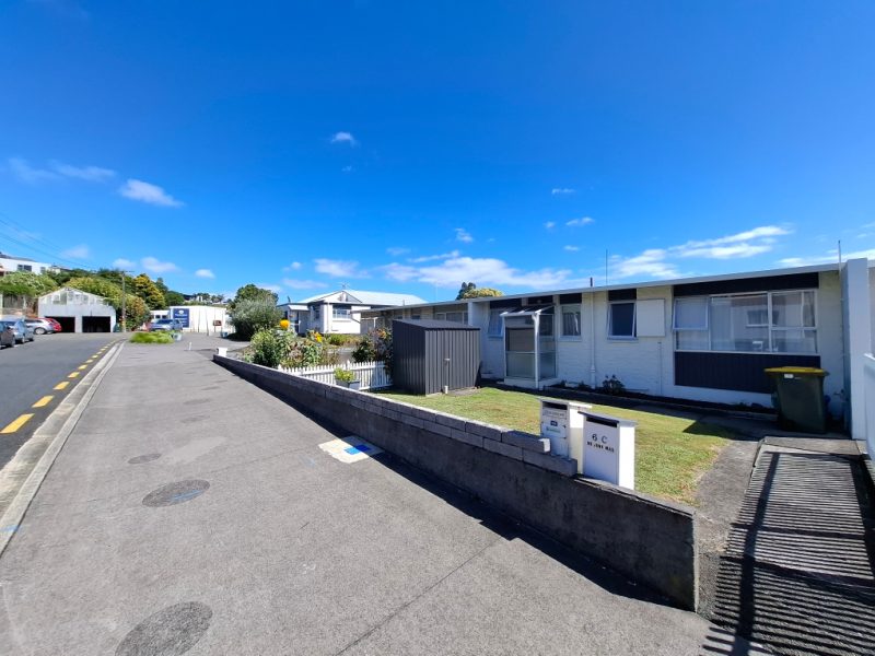 6B Davies Lane, New Plymouth Central